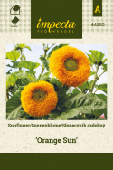 Sonnenblume ‘Orange Sun‘