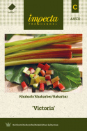 Rhabarber 'Victoria'
