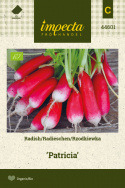 Radieschen 'Patricia'