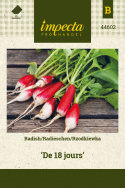 Radieschen 'De 18 jours'