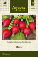 Radieschen 'Raxe'