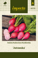 Radieschen 'Jutrzenka'