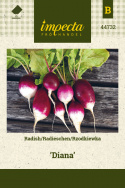 Radieschen 'Diana'