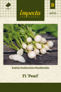 Radieschen F1 'Pearl'