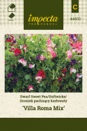 Zwergduftwicke 'Villa Roma Mix'