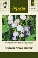 Duftwicke 'Spencer Arthur Hellyer'