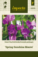 Duftwicke 'Spring Sunshine Mauve'