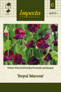 Duftwicke 'Royal Maroon'
