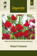 Duftwicke 'Royal Crimson'