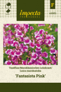 Marokkanisches Leinkraut 'Fantasista Pink'