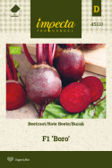 Rote Bete F1 'Boro'