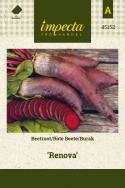 Rote Bete 'Renova'