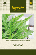 Wilde Rauke 'Wildfire'