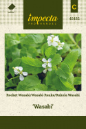 Wasibi-Rauke  'Wasabi'