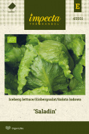 Eisbergsalat 'Saladin'