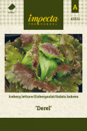 Eisbergsalat 'Derel'