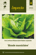 Romanasalat 'Blonde maraîchère'