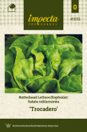 Kopfsalat 'Trocadero'