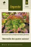 Kopfsalat 'Merveille Des Quatre Saisons'