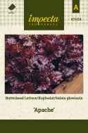 Kopfsalat 'Apache'