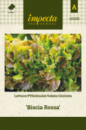 Pflücksalat 'Biscia Rossa'