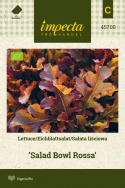 Pflücksalat 'Salad Bowl Rossa'