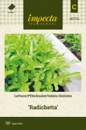 Pflücksalat 'Radichetta'