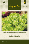 Pflücksalat 'Lollo Bionda'