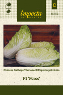 Chinakohl F1 'Forco'