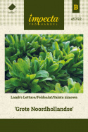 Feldsalat 'Grote Noordhollandse'