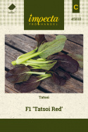 Tatsoi F1 'Tatsoi Red' 