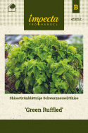 Grüner Shiso ‘Green Ruffled‘