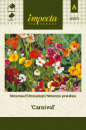 Elfenspiegel 'Carnival'