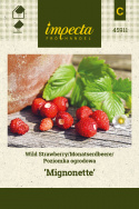 Monats-Erdbeere ’Mignonette’