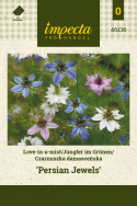 Jungfer im Grünen 'Persian Jewels'