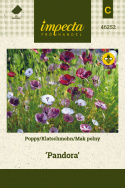 Klatschmohn 'Pandora'