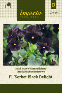 Hornveilchen 'Sorbet Black Delight'