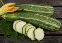 Zucchini 'Verte Non Coureuse d'Italie'
