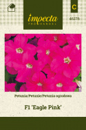 Großblütige Petunie ‘Eagle Pink‘