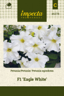 Großblütige Petunie 'Eagle White'