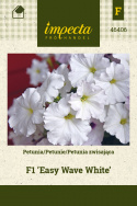 Petunie 'Easy Wave White'