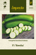 Zucchini 'Keesha'