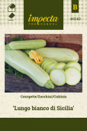 Zucchini 'Lungo bianco di Sicilia'