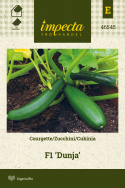 Zucchini 'Dunja'