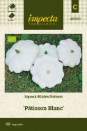 Kürbis  'Pâtisson Blanc'