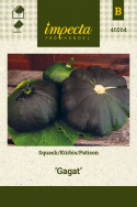 Kürbis 'Gagat'