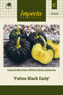 Moschus-Kürbis 'Futtsu Black Early'