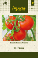 Tomate F1 'Paola'