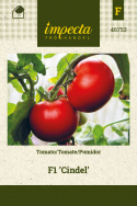 Tomate F1 'Cindel'
