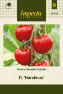 Tomate F1 'Harzfeuer'